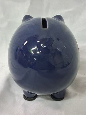 Vintage Retro Luke A Tuke South Dakota Piggy Bank - Thumbnail 4