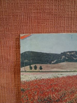 1940's FERRY-MORSE SEED CO. HOME GARDEN GUIDE Vtg - Thumbnail 5