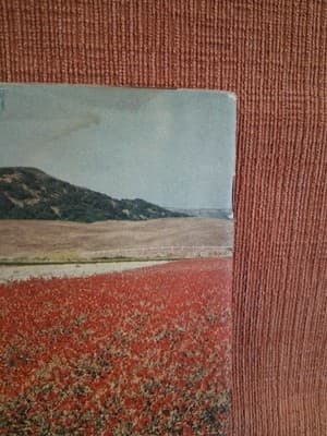1940's FERRY-MORSE SEED CO. HOME GARDEN GUIDE Vtg - Thumbnail 6