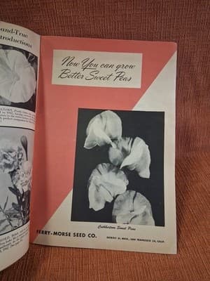 1940's FERRY-MORSE SEED CO. HOME GARDEN GUIDE Vtg - Thumbnail 10