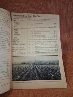 1940's FERRY-MORSE SEED CO. HOME GARDEN GUIDE Vtg - Thumbnail 11