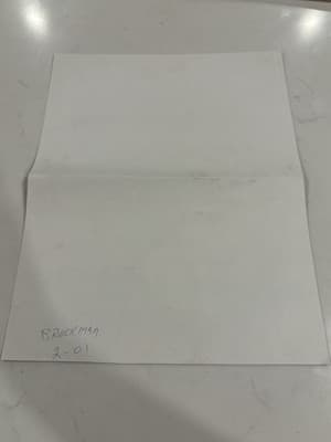 Sexy Woman With Lion Print Fantasy Art Drawing Sketch Artist Signed Brockman 01 - Thumbnail 2