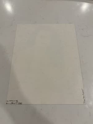 Rare Print Sexy Fantasy Art Woman Flames Drawing Sketch Signed 2001 - Thumbnail 3
