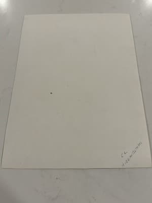 Rare Original Sexy Fantasy Art Drawing Sketch Artist Signed - Thumbnail 3