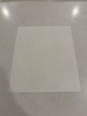 Lady And Lion Rare Original Sexy Fantasy Art Drawing Sketch - Thumbnail 2
