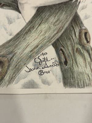 Rare Original Sexy Girl With Lion Fantasy Art Drawing Sketch Artist Signed - Thumbnail 2