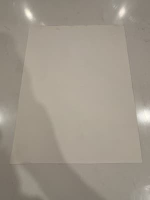 Rare Original Sexy Girl With Lion Fantasy Art Drawing Sketch Artist Signed - Thumbnail 3