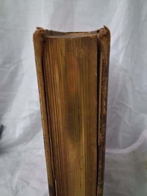 1872 Picturesque America 2 Vol Set 1ST Edition Steel Engravings + 1870s Ephemera - Thumbnail 11