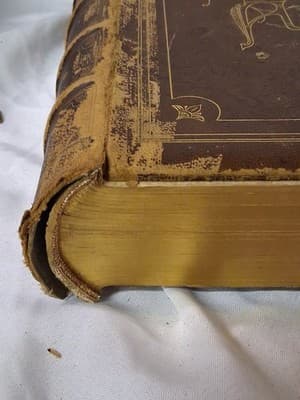 1872 Picturesque America 2 Vol Set 1ST Edition Steel Engravings + 1870s Ephemera - Thumbnail 24