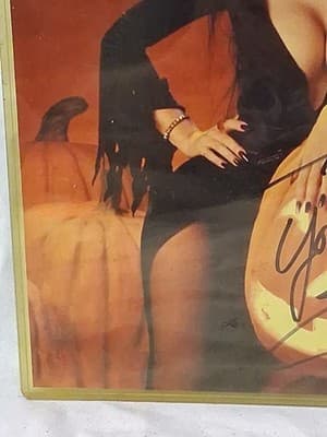 ELVIRA CASSANDRA PETERSON SIGNED 11x14 PHOTO AUTO AUTOGRAPH - Thumbnail 4