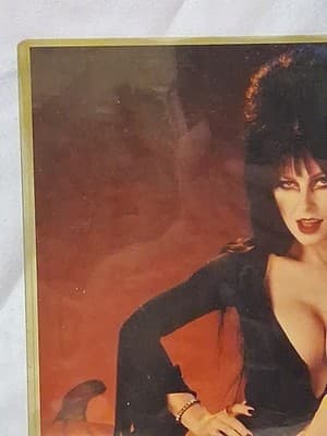 ELVIRA CASSANDRA PETERSON SIGNED 11x14 PHOTO AUTO AUTOGRAPH - Thumbnail 5