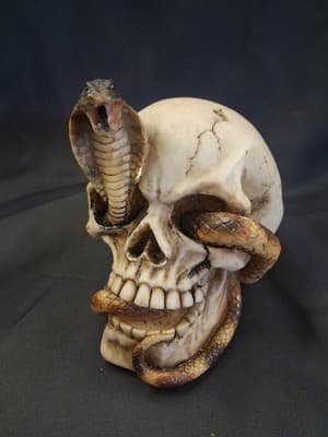 Cobra in Skull pharaoh (a) - Thumbnail 6