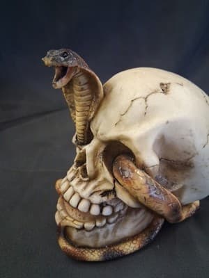Cobra in Skull pharaoh (a) - Thumbnail 3