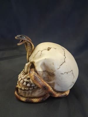 Cobra in Skull pharaoh (a) - Thumbnail 2