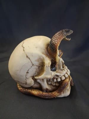 Cobra in Skull pharaoh (a) - Thumbnail 5