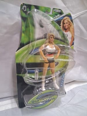 Brand New WWE 2004 Summer Slam Trish 7" ACTION FIGURE Jakks Pacific Sealed - Thumbnail 4