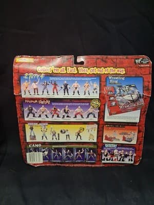 Jakks Pacific WWF Summer Slam ‘99 Grudge Match Hardcore Holly Al Snow NEW Dmg Bx - Thumbnail 6