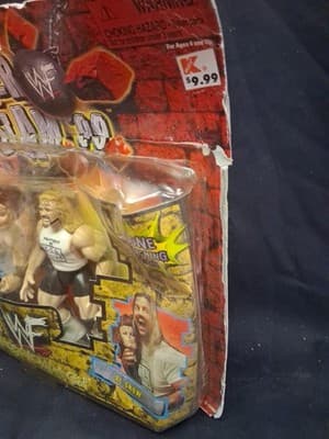 Jakks Pacific WWF Summer Slam ‘99 Grudge Match Hardcore Holly Al Snow NEW Dmg Bx - Thumbnail 5
