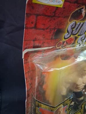 Jakks Pacific WWF Summer Slam ‘99 Grudge Match Hardcore Holly Al Snow NEW Dmg Bx - Thumbnail 4