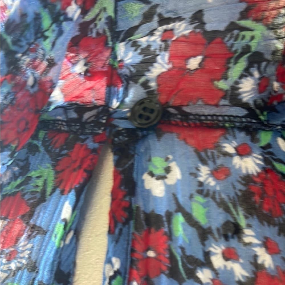 Robert Rodriguez Floral Sheer Long Sleeve Top - Blue and Red - SMALL- NWT - Thumbnail 2