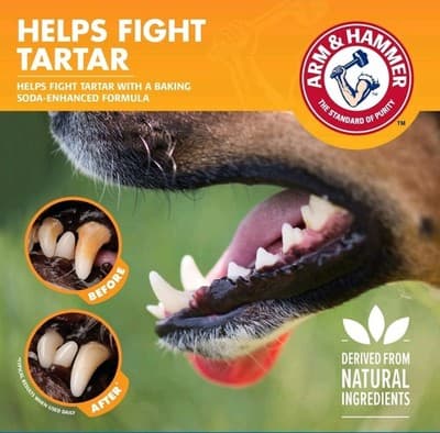 Arm & Hammer Dog Dental Water Additive 16oz Tartar Control Fresh Breath NEW - Thumbnail 5