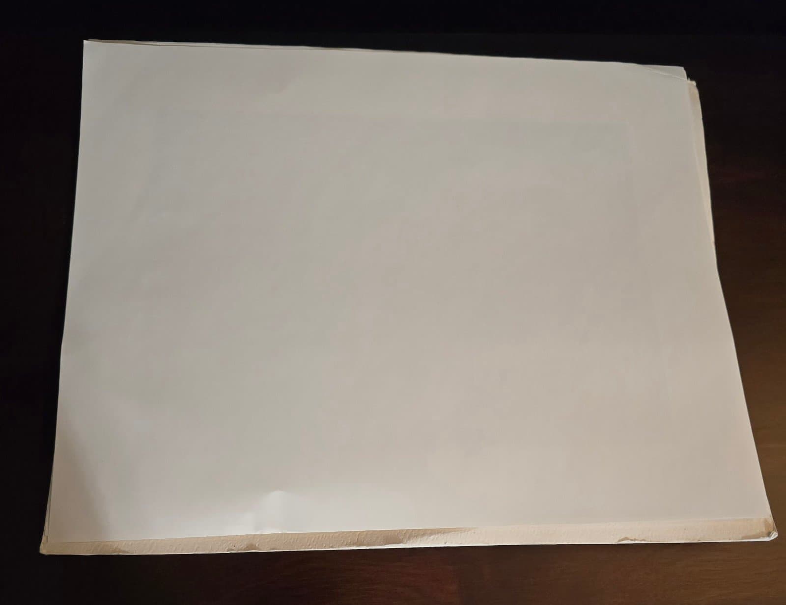 Walt Disney Exclusive Snow White Lithograph Portfolio - Thumbnail 10