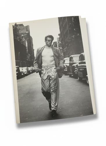 James Dean: A Portrait by Roy Schatt 1982 1st Ed Paperback Photo Book - Thumbnail 3