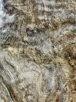Large Burl Wood Sculpture- Natural Burl Art- Organic Modern Decor- One Of A Kind - Thumbnail 7