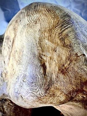 Large Burl Wood Sculpture- Natural Burl Art- Organic Modern Decor- One Of A Kind - Thumbnail 9