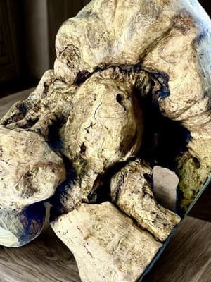 Large Burl Wood Sculpture- Natural Burl Art- Organic Modern Decor- One Of A Kind - Thumbnail 5
