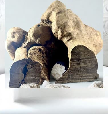 Large Burl Wood Sculpture- Natural Burl Art- Organic Modern Decor- One Of A Kind - Thumbnail 4