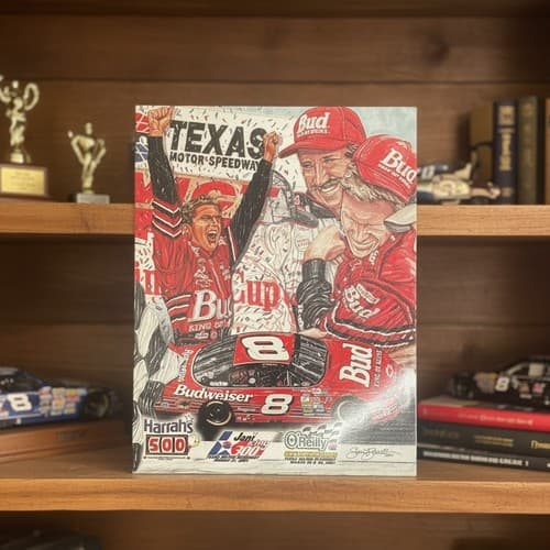 Texas Motor Speedway 2001 2002 NASCAR Collector Programs Dale Jr Ticket - Thumbnail 3