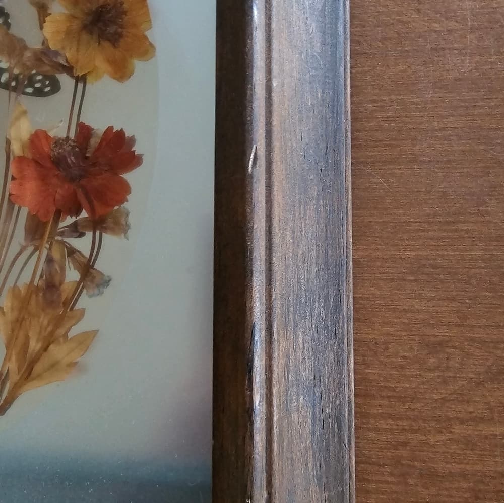 Vintage Butterfly Display - Thumbnail 5