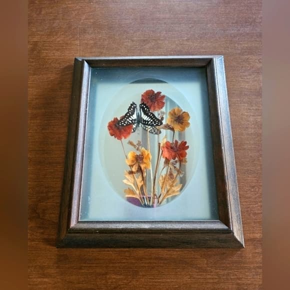 Vintage Butterfly Display - Thumbnail 7