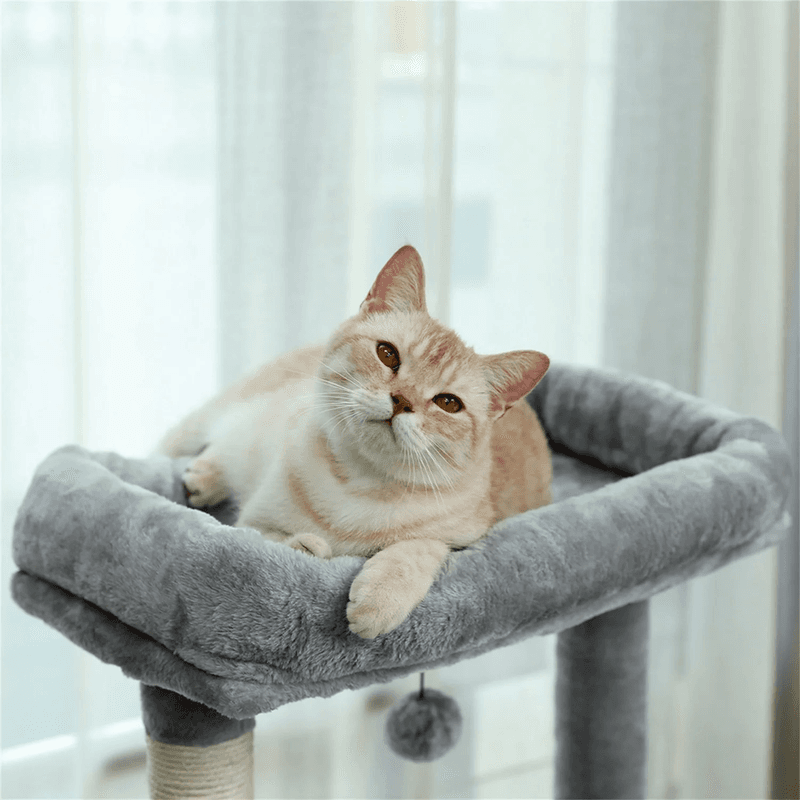 56" Cat Tree for Indoor Cats Cat Condos for Adult Cats with Padded Plush Perch a - Thumbnail 4