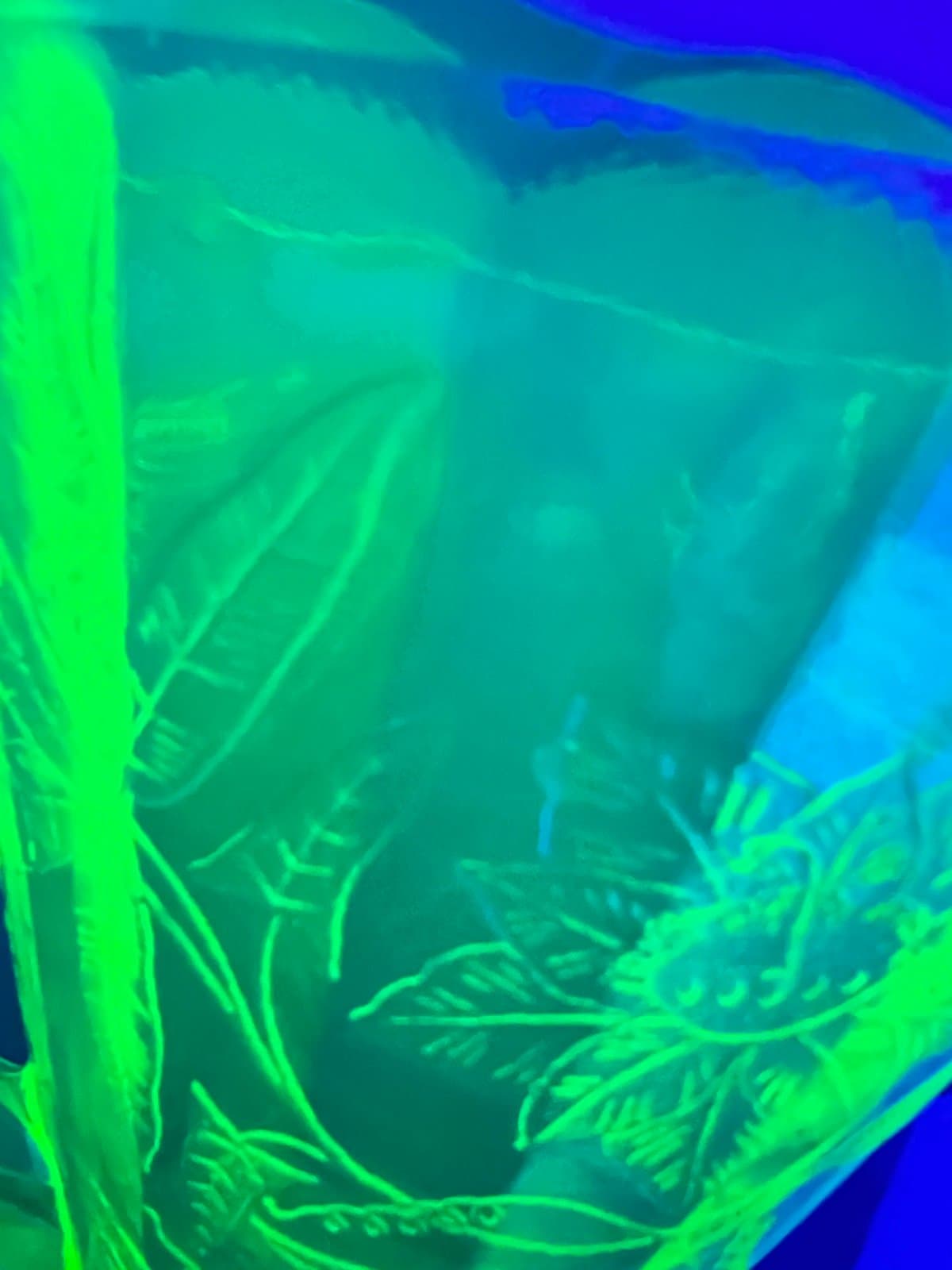 Uranium green glass pitcher - Thumbnail 4