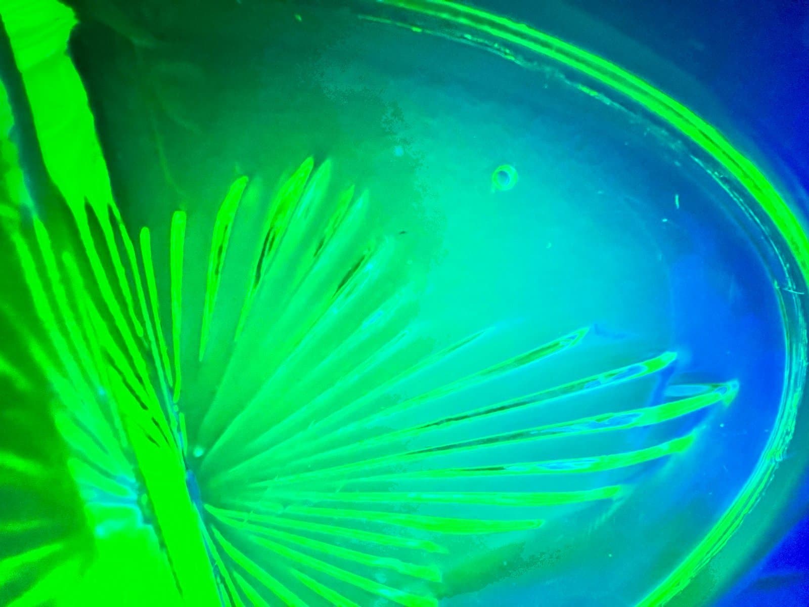 Uranium Glass - Thumbnail 2
