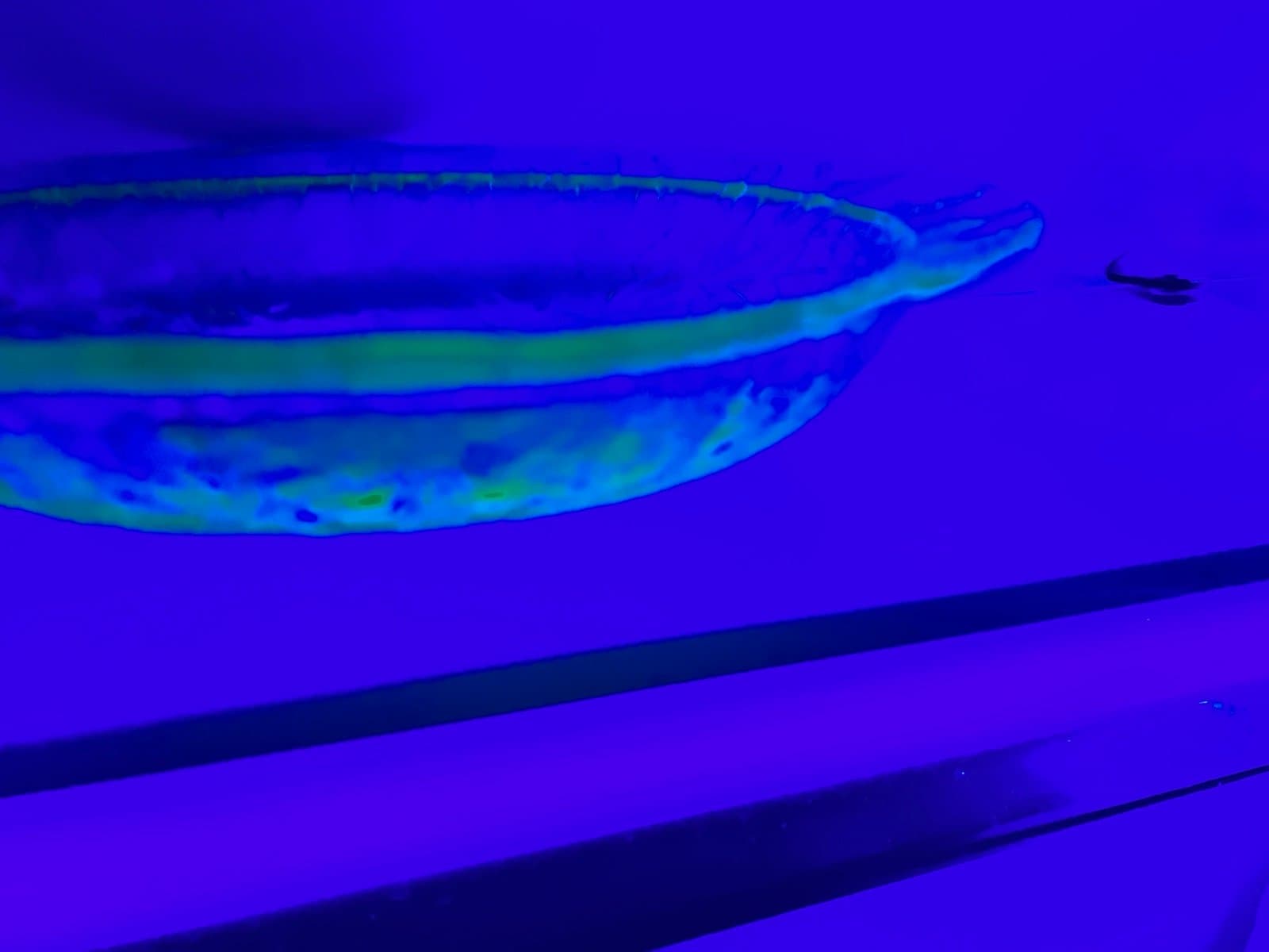 Uranium serving bowl - Thumbnail 8