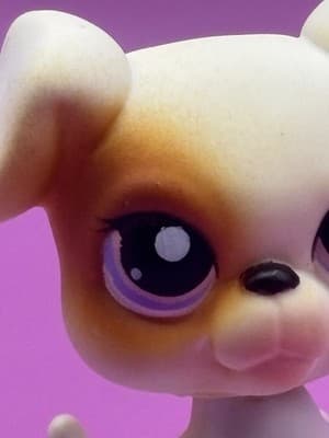 Littlest Pet Shop #84 White Boxer Dog - Thumbnail 4