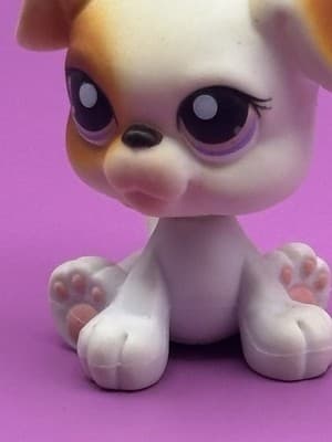 Littlest Pet Shop #84 White Boxer Dog - Thumbnail 2