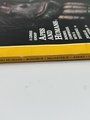 NATIONAL GEOGRAPHIC March 1992 APES AND HUMANS Bonobos ANDES PEAKS Lake Tahoe - Thumbnail 5