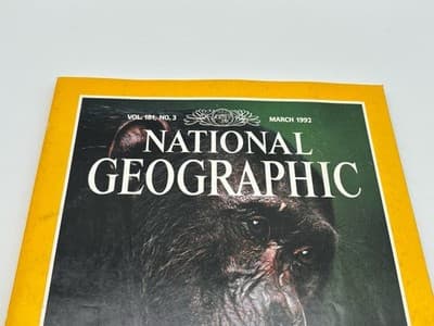 NATIONAL GEOGRAPHIC March 1992 APES AND HUMANS Bonobos ANDES PEAKS Lake Tahoe - Thumbnail 6