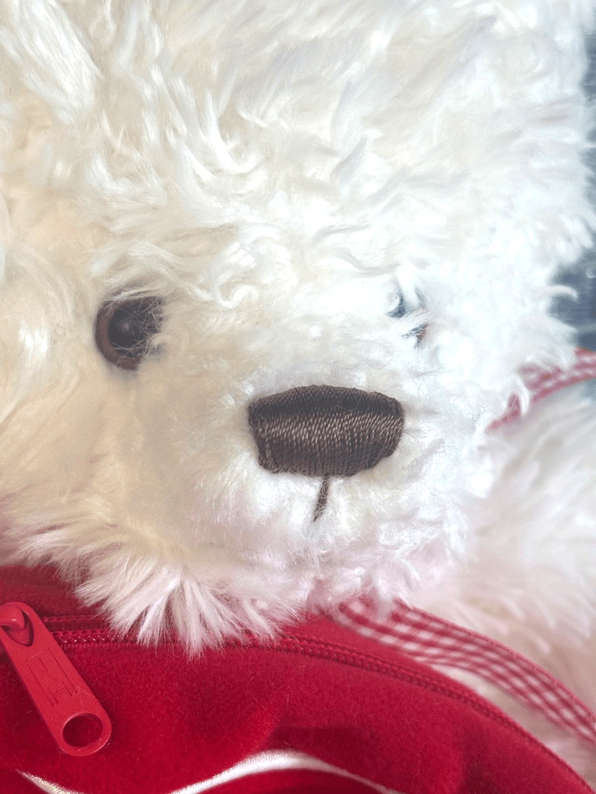 Hallmark "From My Heart" Bear 2003 Plush with Red Bag - Very Good Condition Toy - Thumbnail 2