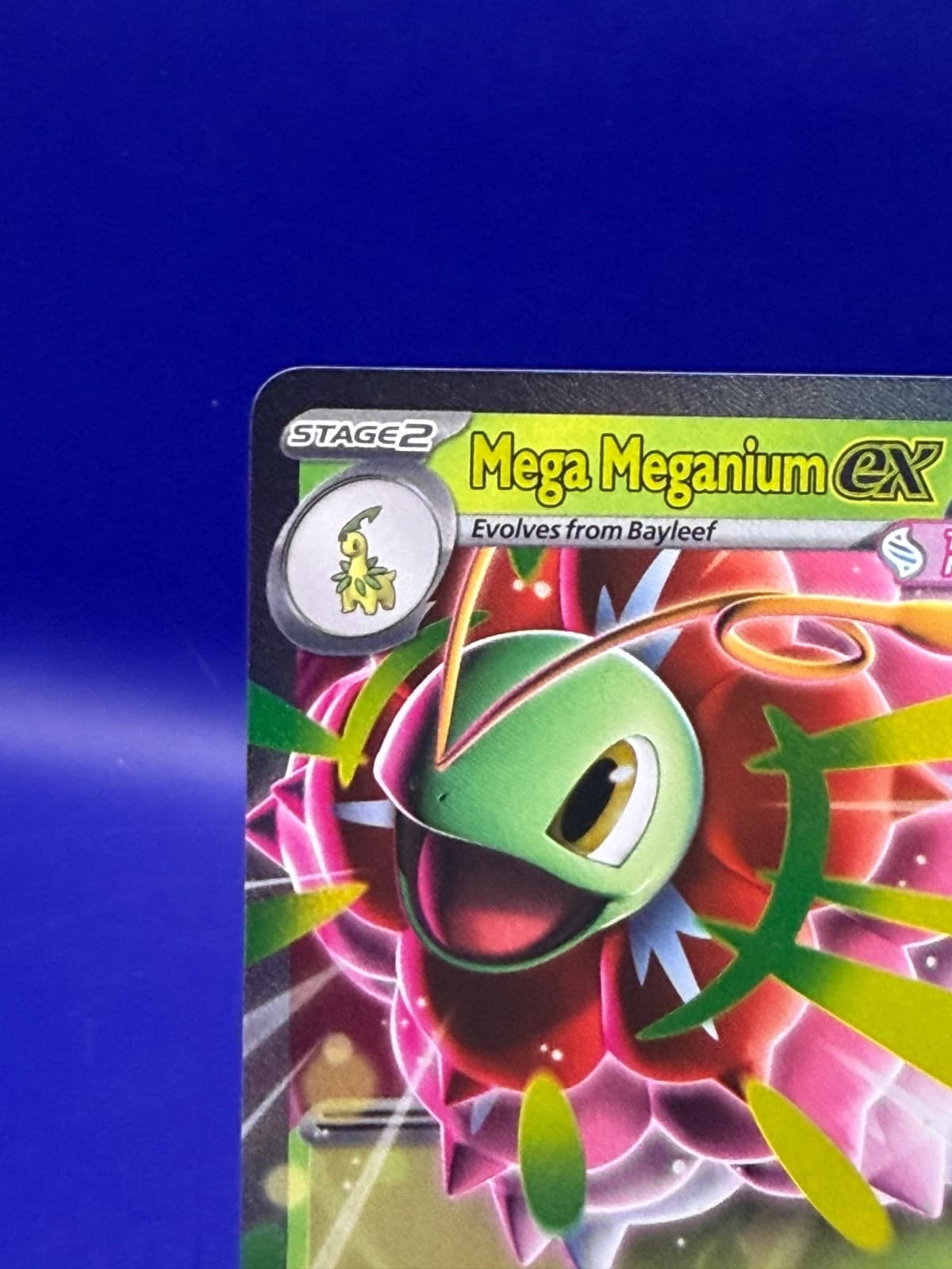 Mega Meganium ex 010/217 Ascended Heroes Double Rare Holo Pokemon TCG NM - Thumbnail 3