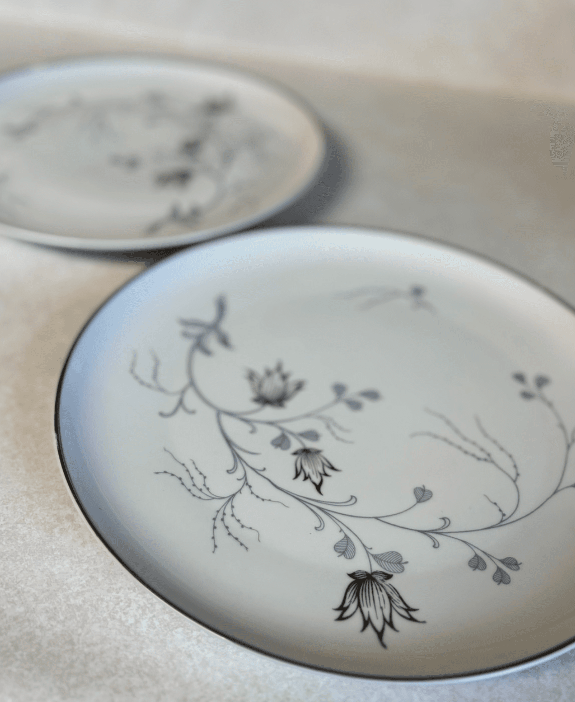 Bareuther Bavaria Silver Arbor Dinner Plates Lot of 2 Germany Chip/Fading