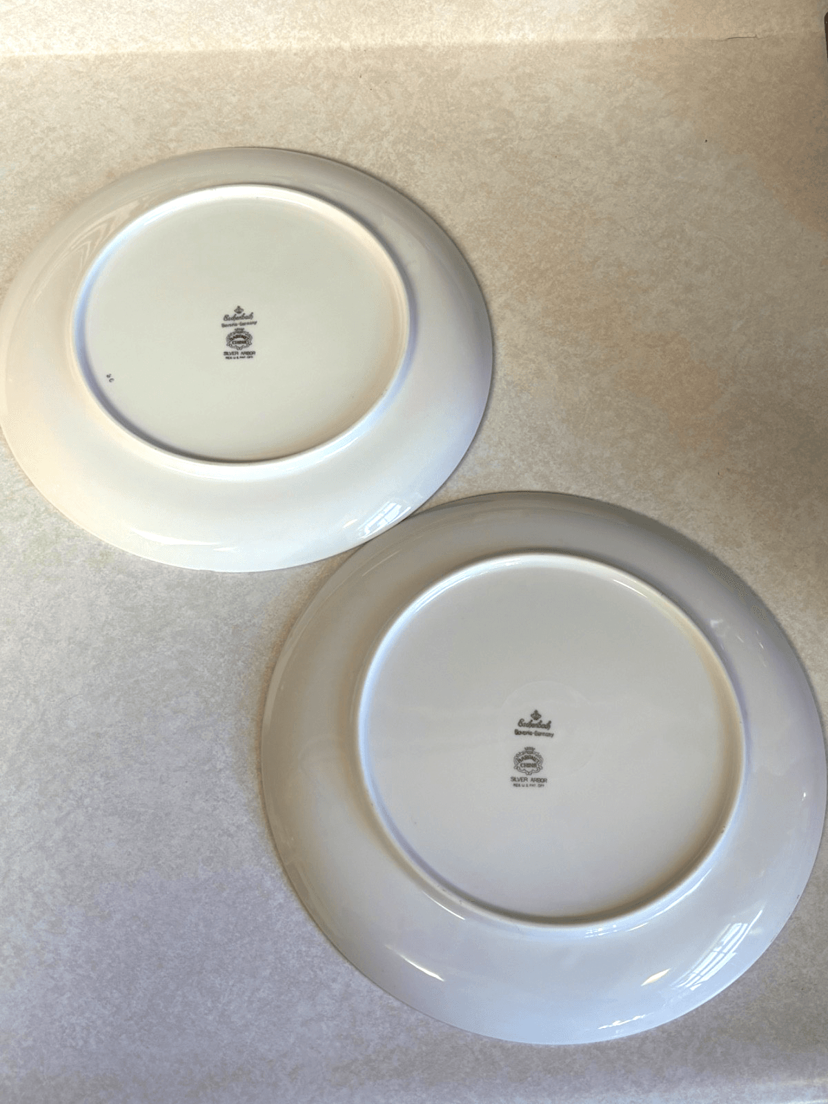 Bareuther Bavaria Silver Arbor Dinner Plates Lot of 2 Germany Chip/Fading - Thumbnail 7