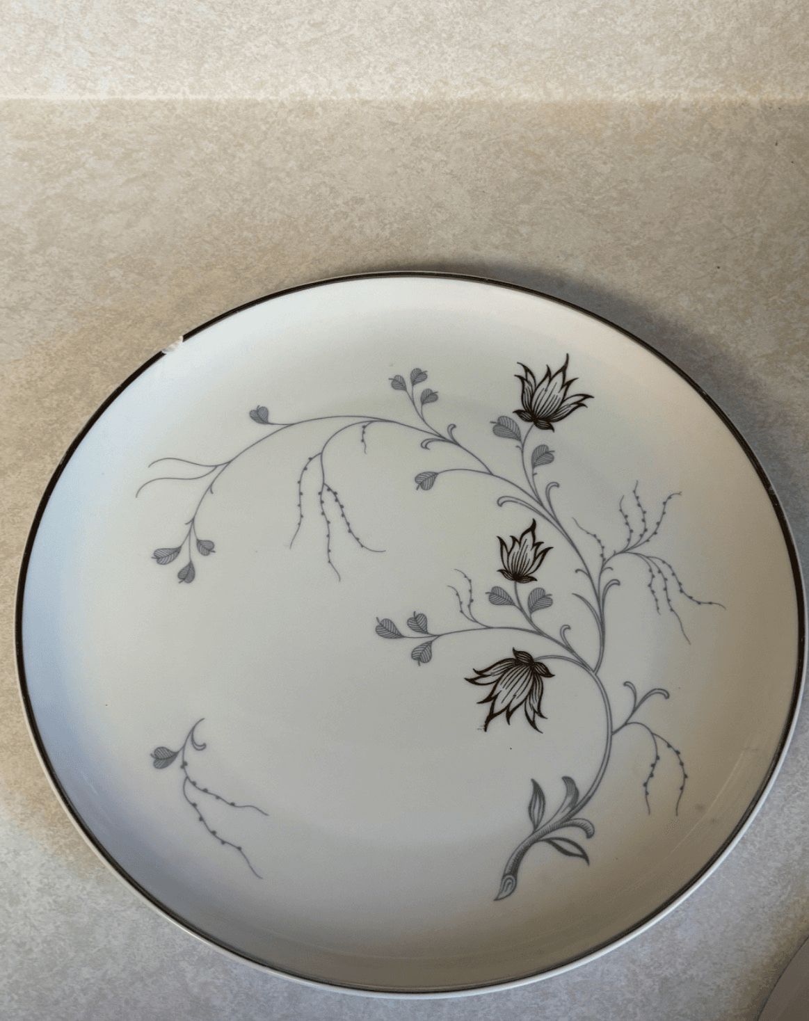 Bareuther Bavaria Silver Arbor Dinner Plates Lot of 2 Germany Chip/Fading - Thumbnail 3