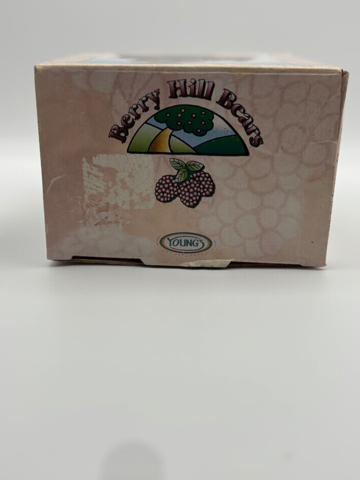Young’s 1999 “Man Shall Not Live By Bread Alone” Teddy Bear Figurine w/ Box Plus - Thumbnail 10