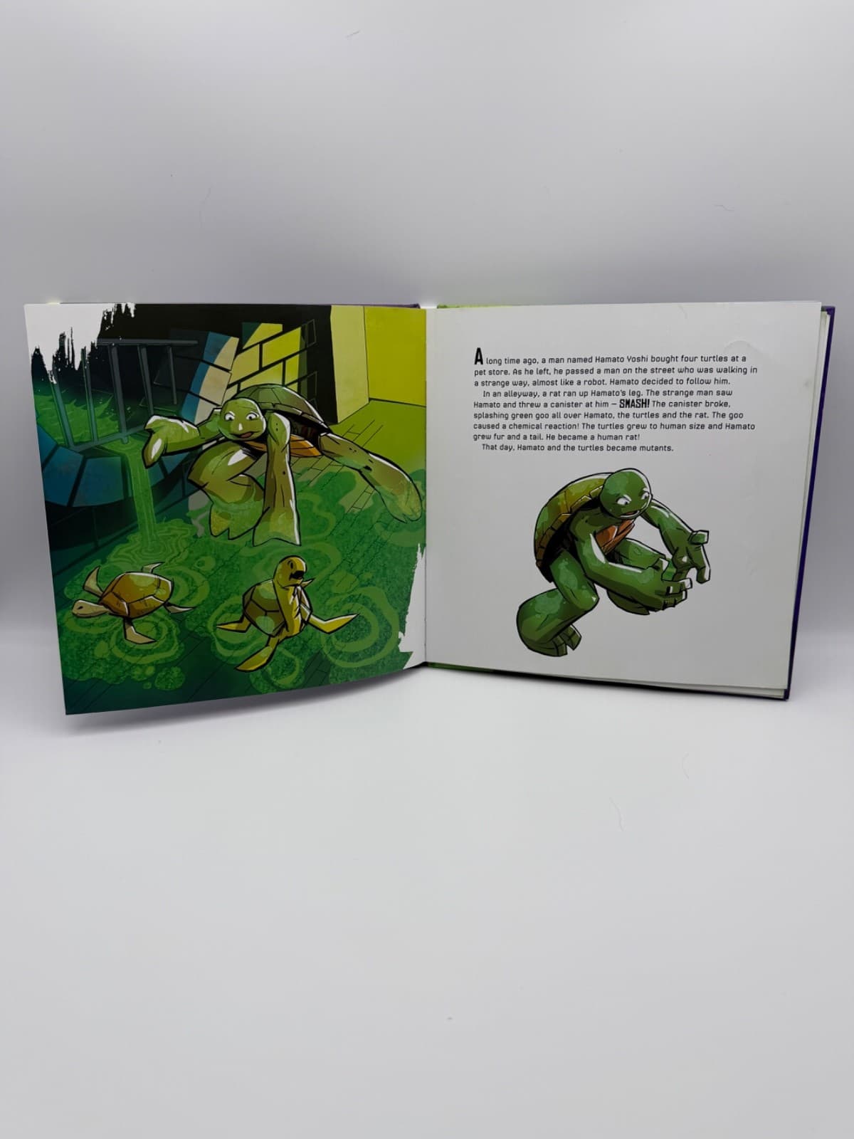 Teenage Mutant Ninja Turtles Green Team Hardcover Book TMNT Nickelodeon - Thumbnail 3