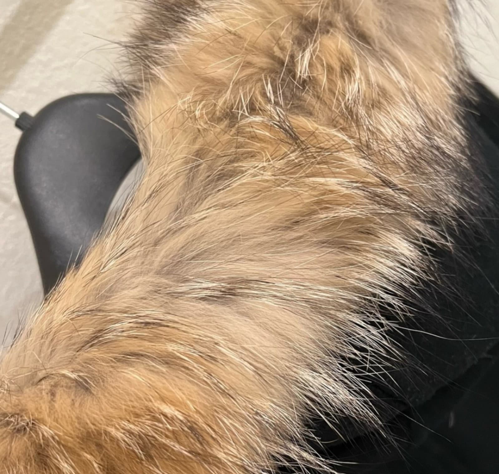 Andrew Marc Black Winter Coat with Coyote Fur Trimmed Hood - Thumbnail 3